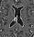 Medical Image Management, Core Lab, Clinical Trials | Medical Metrics 